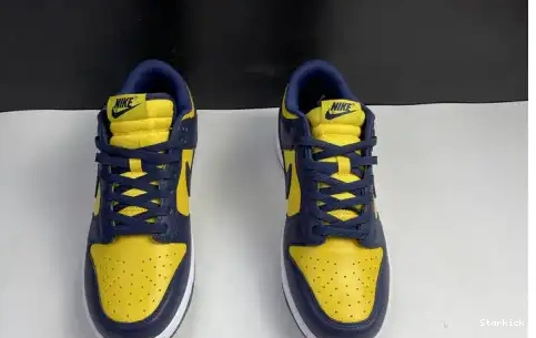 Michigan Nike Dunk DD1391-700 Low 0504